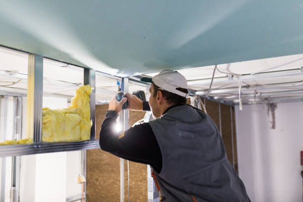 Best Soundproof Insulation Installation  in Painted Post, NY