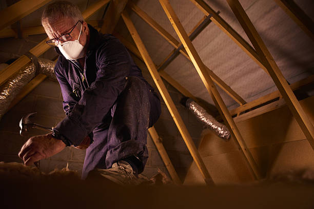 Best Crawl Space Insulation  in Painted Post, NY